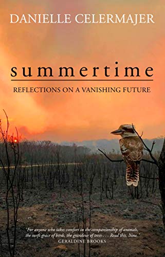 Summertime: Reflections on a vanishing future