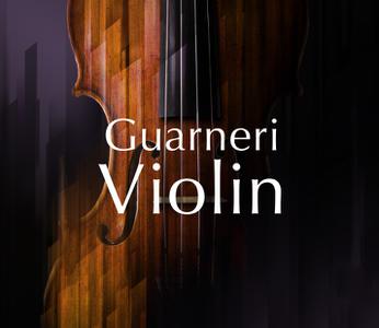 Native Instruments Guarneri Violin v1.2.0 KONTAKT