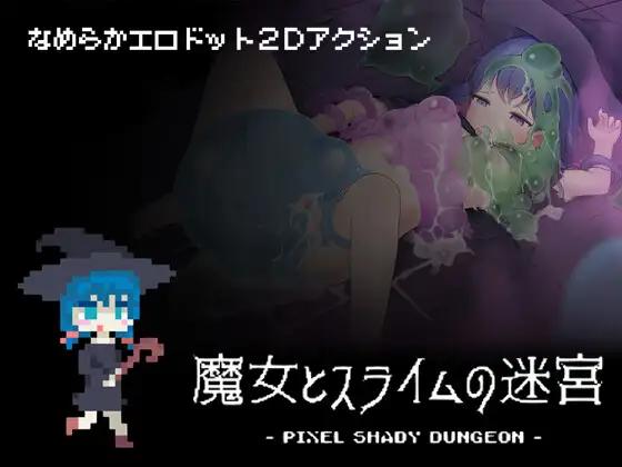 Pixel Shady Dungeon [v1.01] (Laboratelier) [uncen] [2021, Action] [eng]