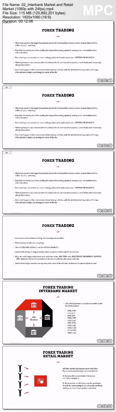 Forex Trading MasterClass - Torero Traders School