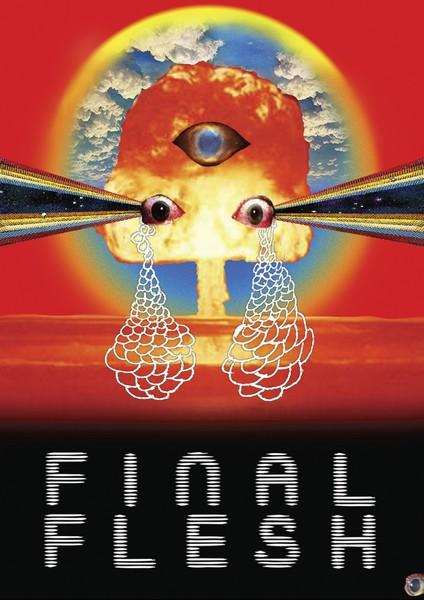 Final Flesh / Последняя плоть (Ike Sanders, PFFR) [2009 г., Comedy, Sci-Fi, DVDRip]