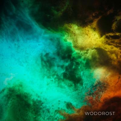 Wodorost - Wodorost (2021)