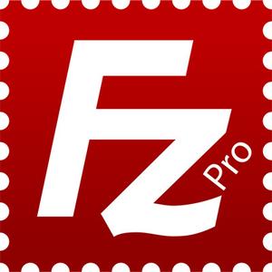 FileZilla Pro 3.56.1 Multilingual + Portable