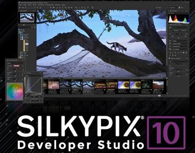 SILKYPIX Developer Studio 10.1.16.0 (x64)