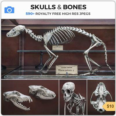 Photobash   Skulls and Bones