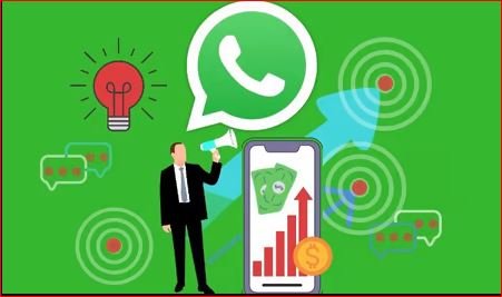 Skillshare - Optimizsing your WhatsApp Business Profile