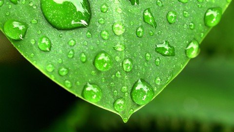 Udemy - The New Water Wise Irrigation Drop-By-Drop