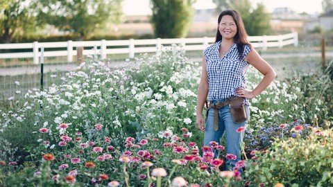 Udemy - A Beginner's Guide to Growing Roses in a Cold Climate