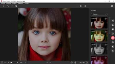 Movavi Picverse 1.4.0 (x64) Multilingual + Portable