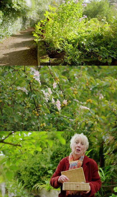 Autumn Gardening with Carol Klein S03E04 1080p HEVC x265-MeGusta