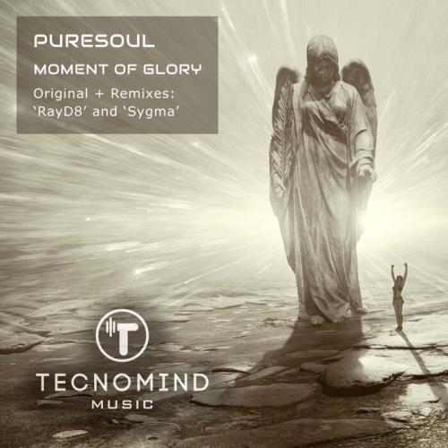 VA - Puresoul - Moment Of Glory (2021) (MP3)