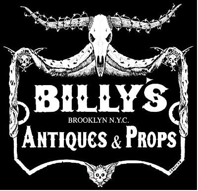 Billy Buys Brooklyn S01E10 Brilliant History 720p HEVC x265-MeGusta