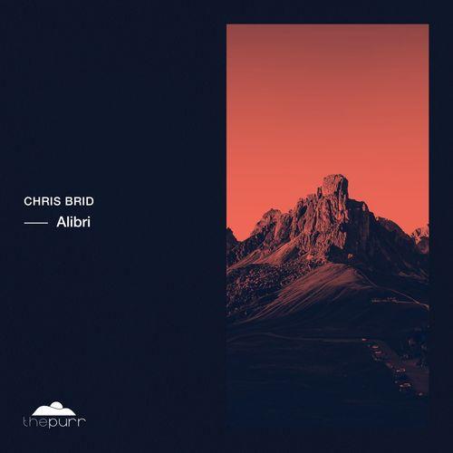 VA - Chris Brid - Alibri (2021) (MP3)
