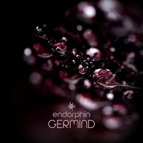 VA - Germind - Endorphin (2021) (MP3)
