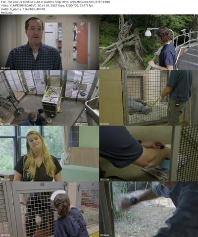 The Zoo US S05E04 Cubs in Queens 720p HEVC x265 