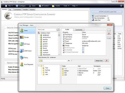 Cerberus FTP Server Enterprise 12.3.0 (x64)