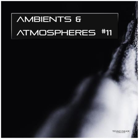 Сборник Ambients & Atmospheres, Vol 11 (2021)