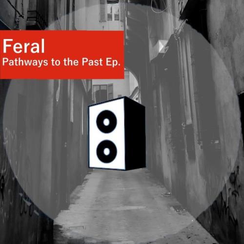 VA - Feral - Pathways To The Past (2021) (MP3)