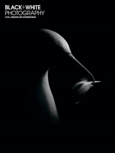 Black + White Photography – October 2021
