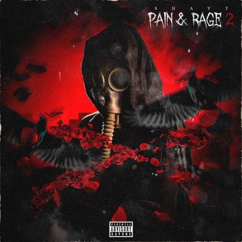 VA - Shay T - Pain & Rage 2 (2021) (MP3)