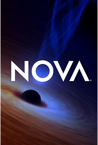 NOVA S48E20 Universe Revealed Black Holes 720p x265-ZMNT