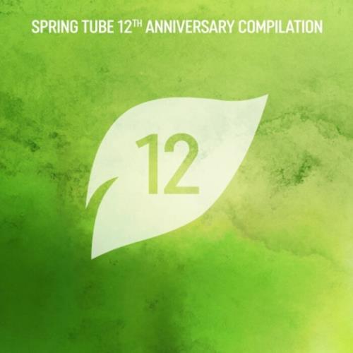 VA - Spring Tube 12th Anniversary Compilation (2021) (MP3)