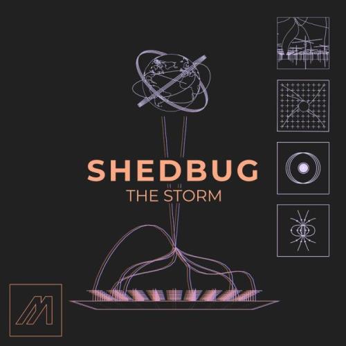 VA - Shedbug - The Storm (2021) (MP3)