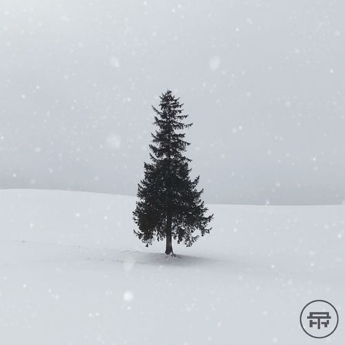 VA - Terabyte Records Presents Winter Warmers (2021) (MP3)