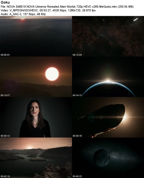 NOVA S48E19 NOVA Universe Revealed Alien Worlds 720p HEVC x265-MeGusta