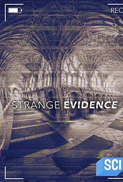 Strange Evidence S06E03 WEB x264-GALAXY