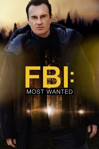 FBI Most Wanted S03E05 PROPER 1080p HEVC x265-MeGusta