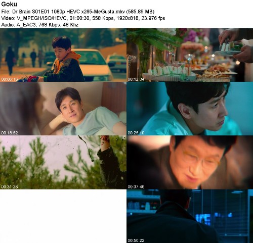 Dr Brain S01E01 1080p HEVC x265-MeGusta