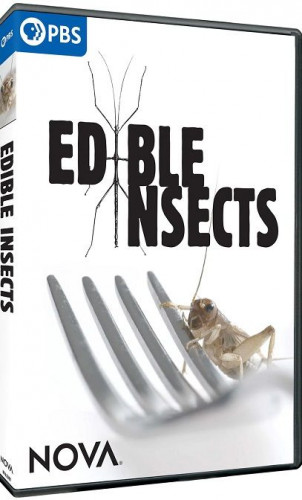 PBS - NOVA Edible Insects (2021)