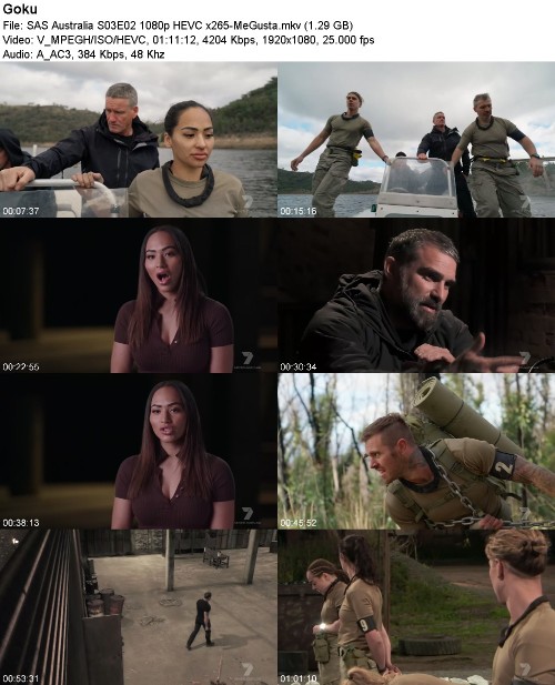 SAS Australia S03E02 1080p HEVC x265-MeGusta