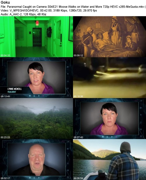 Paranormal Caught on Camera S04E21 Moose Walks on Water and More 720p HEVC x265-MeGusta Paranormal Caught on Camera S04E21 Moose Walks on Water and More 720p HEVC x265-MeGusta