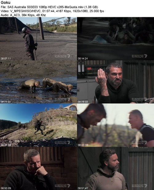 SAS Australia S03E03 1080p HEVC x265-MeGusta