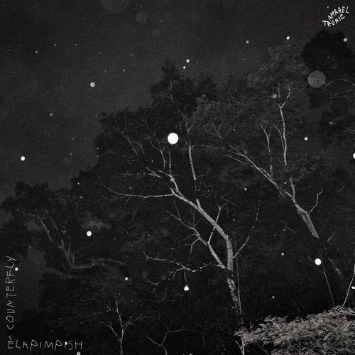 VA - Counterfly - Èlapimpish EP (2021) (MP3)