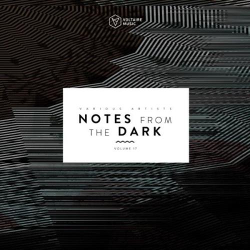 VA - Notes From The Dark, Vol. 17 (2021) (MP3)