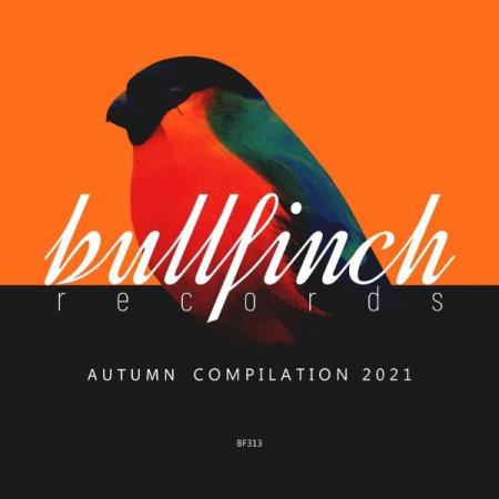 Bullfinch Autumn 2021 Compilation (2021)