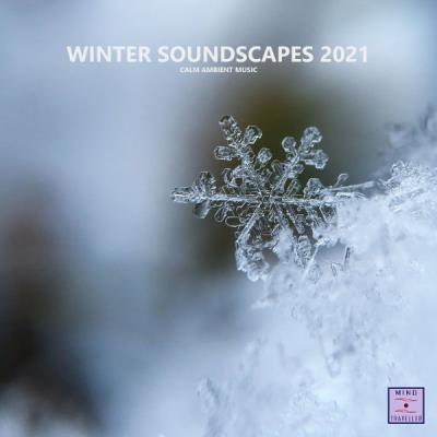 VA - Winter Soundscapes 2021 (Calm Ambient Music) (2021) (MP3)
