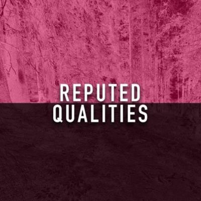 VA - Reputed Qualities (2021) (MP3)