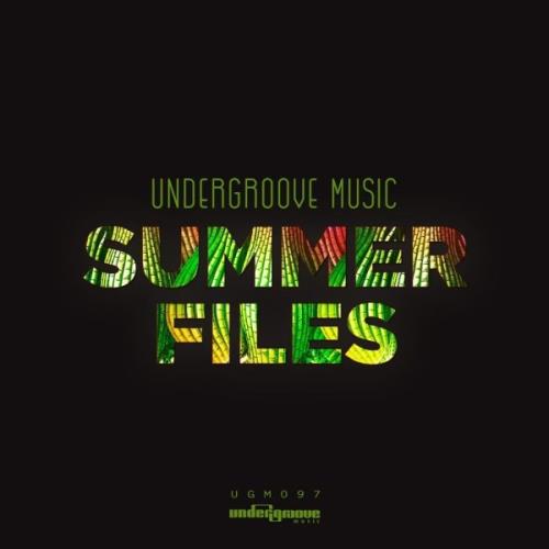VA - Summer Files (2021) (MP3)