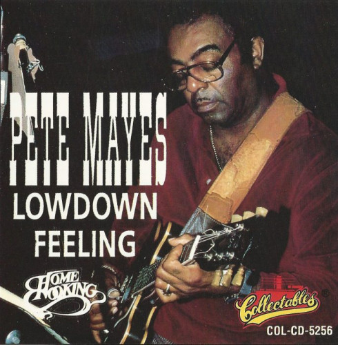 Pete Mayes - Lowdown Feeling (1992) [lossless]