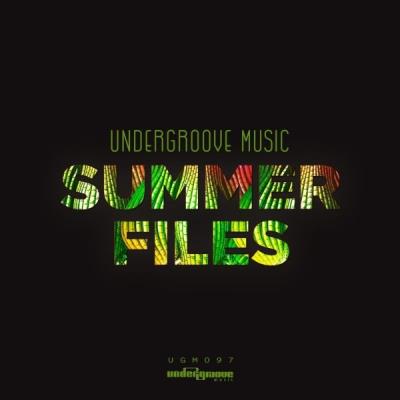 VA - Summer Files (2021) (MP3)