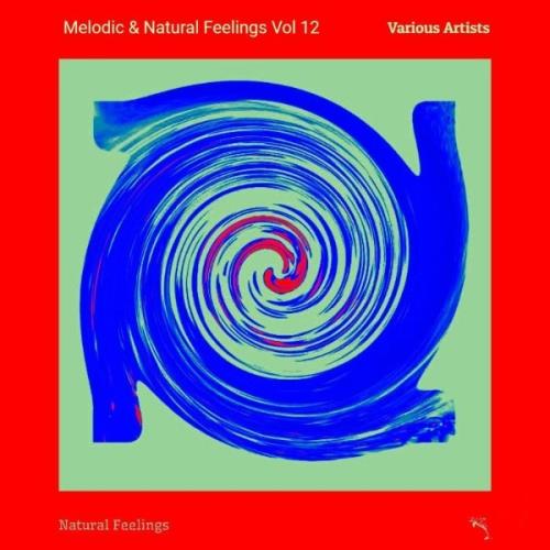 VA - Melodic & Natural Feelings Vol 12 (2021) (MP3)