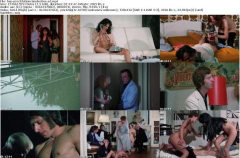 Prostitution Clandestine 1975 Xxx Bdrip X264-Hvp