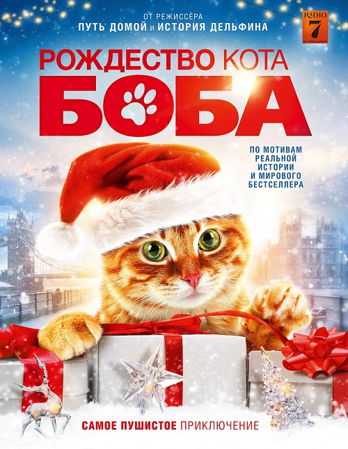 смотреть онлайн, скачать через торрент Рождество кота Боба 