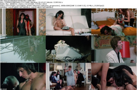 Prostitution Clandestine 1975 Xxx 1080P Bluray X264-Hvp