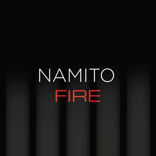 VA - 25 Years Nam - FIRE (2021) (MP3)