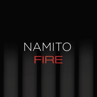 VA - 25 Years Nam - FIRE (2021) (MP3)